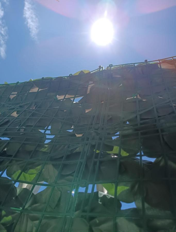 B&B La Reggia Del Sol Trani Dış mekan fotoğraf
